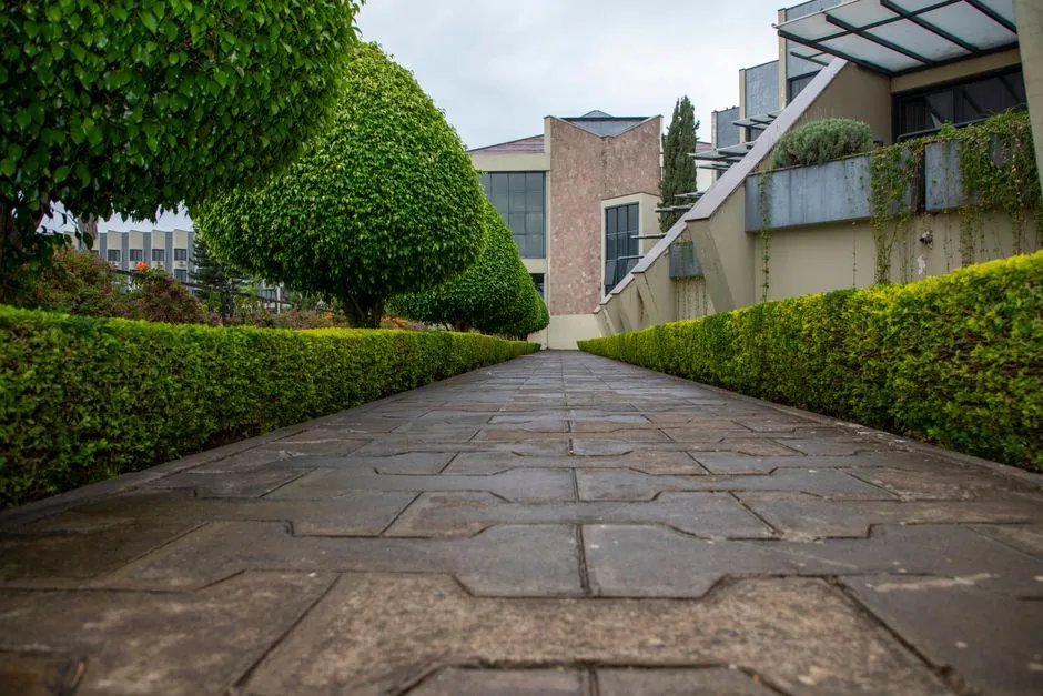 Jardin entretenu, pelouse tondue et haies taillees a Mulhouse